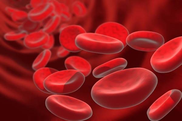 341-eritrosit-sel-darah-merah